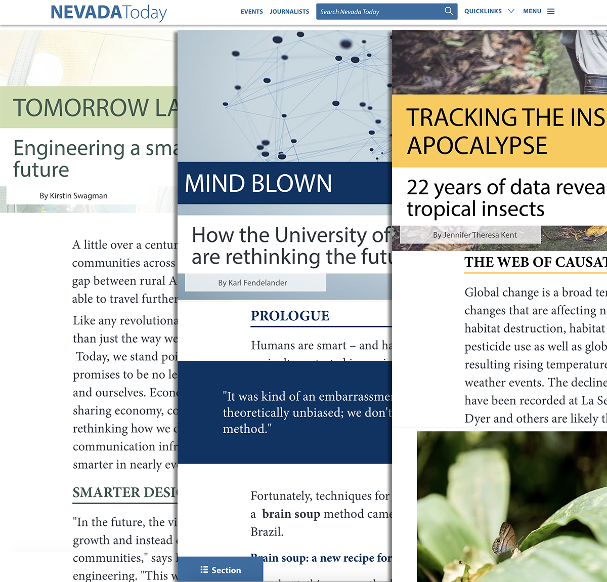 NevadaToday Article Page Design and Layout