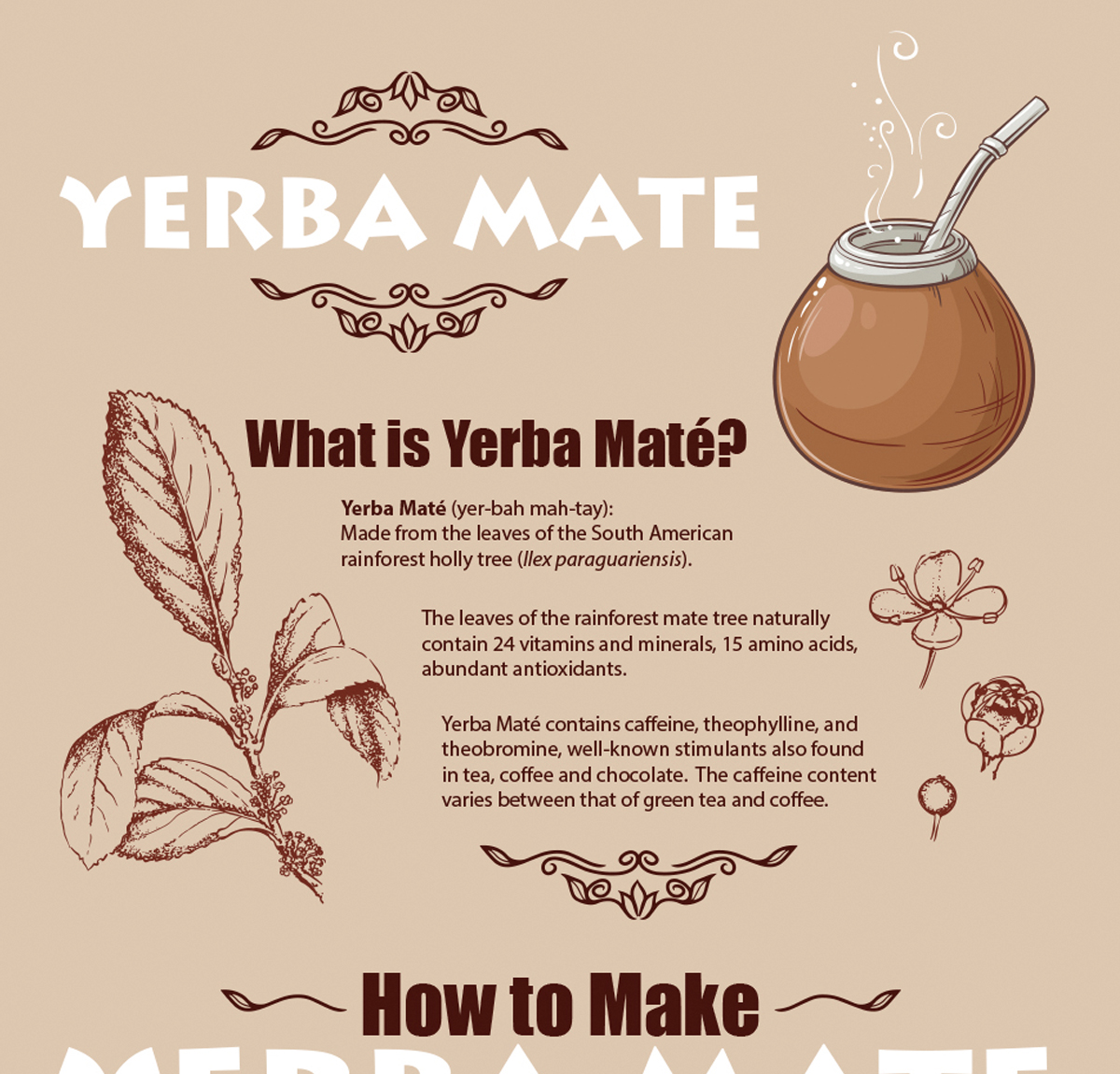 Yerbe Mate Digital Infographic and Print Poster