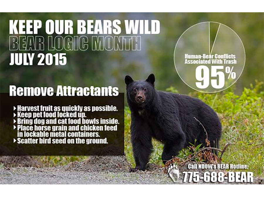 Keep Our Bears Wild - July is Bear Month