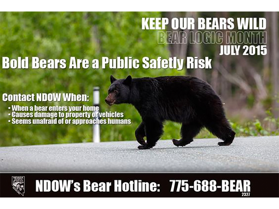 Keep Our Bears Wild - July is Bear Month