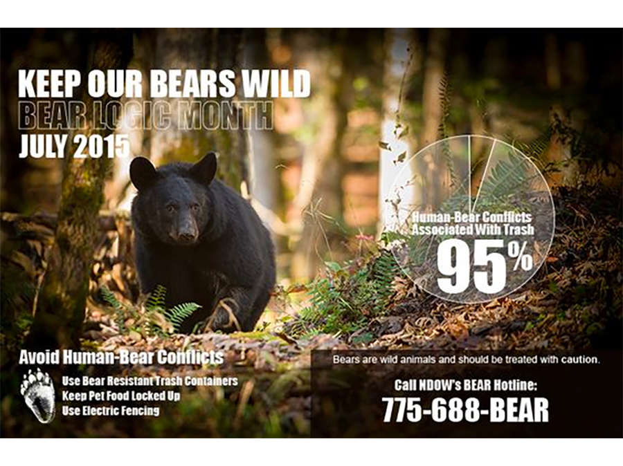 Keep Our Bears Wild - July is Bear Month