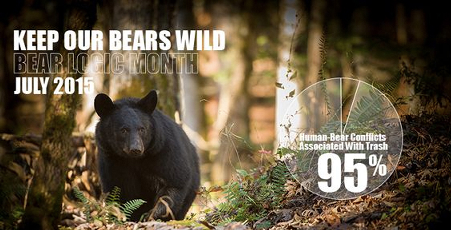 Public Outreach Campaign: 95% of Human-Bear conflicts associated with trash