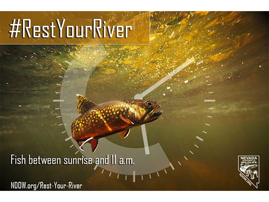 Rest Your River #RestYourRiver